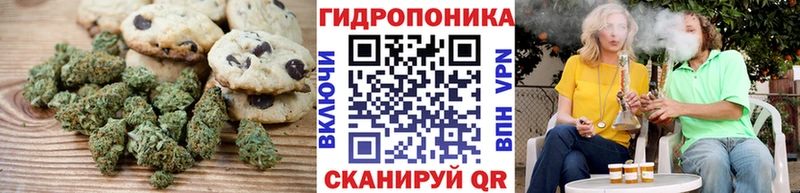 закладка  Шилка  Canna-Cookies марихуана 