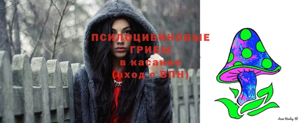 спайс Абаза