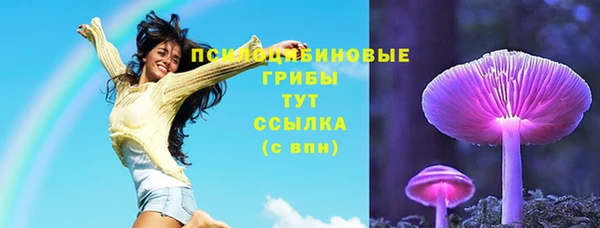 спайс Абаза