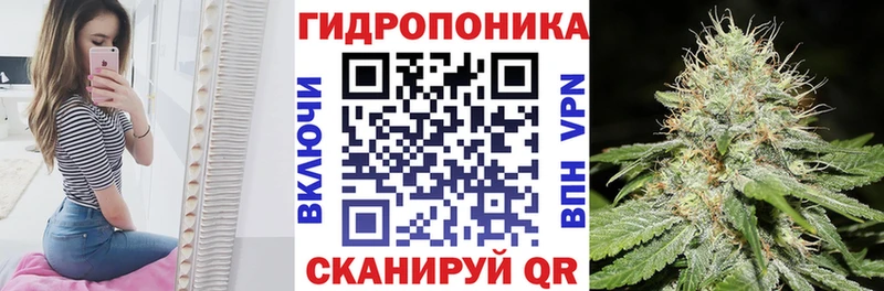 Марихуана Bruce Banner  Шилка 